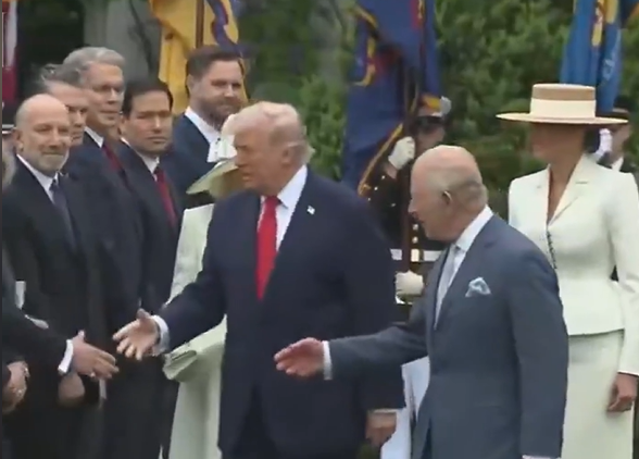 Tramp (Foto: screenshot/X)