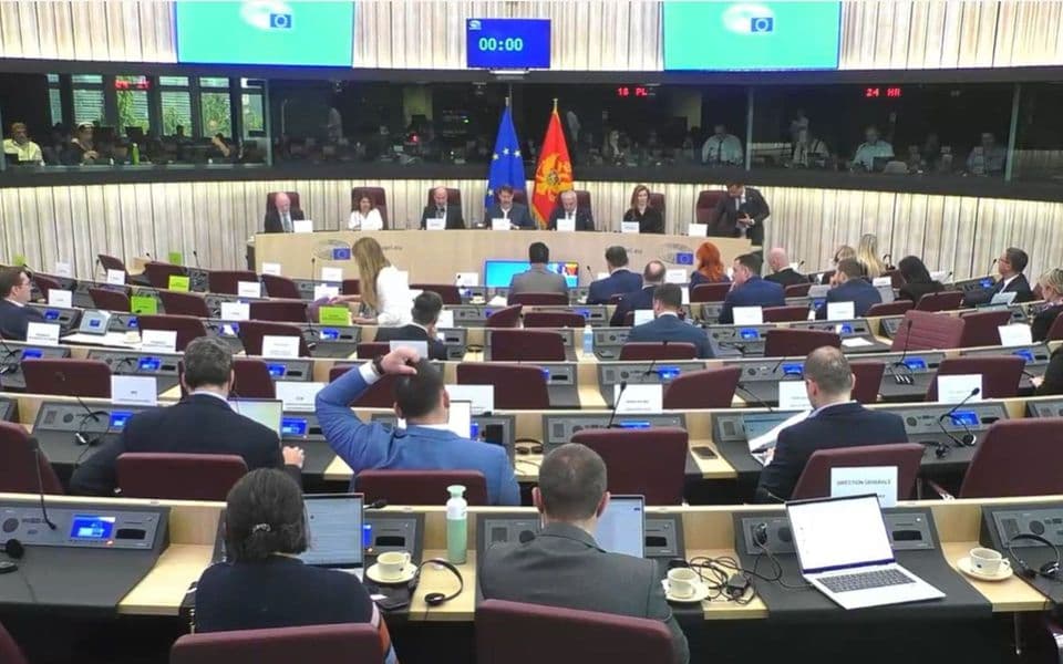 Foto: Skupština Crne Gore