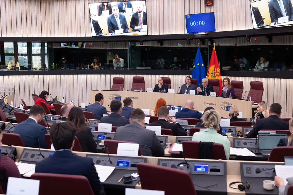 Sa sastanka Parlamentarnog odbora za stabilizaciju i pridruživanje u Strazburu (Foto: Evropski parlament)