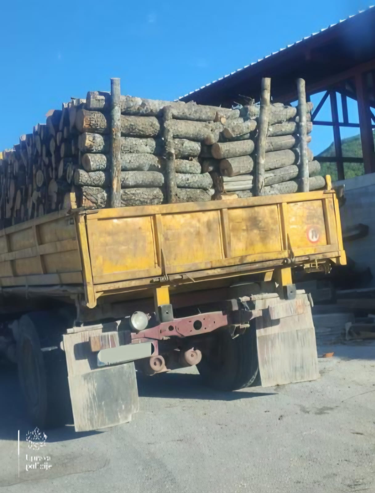 Zaplijenjena drva (Foto: Uprava policije)