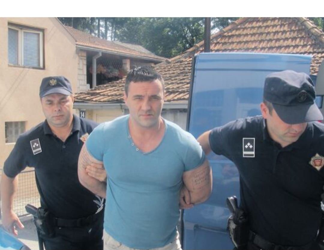 nenad vlahović