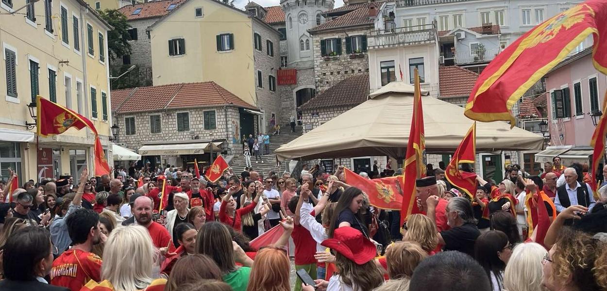 (Foto: STEGA)