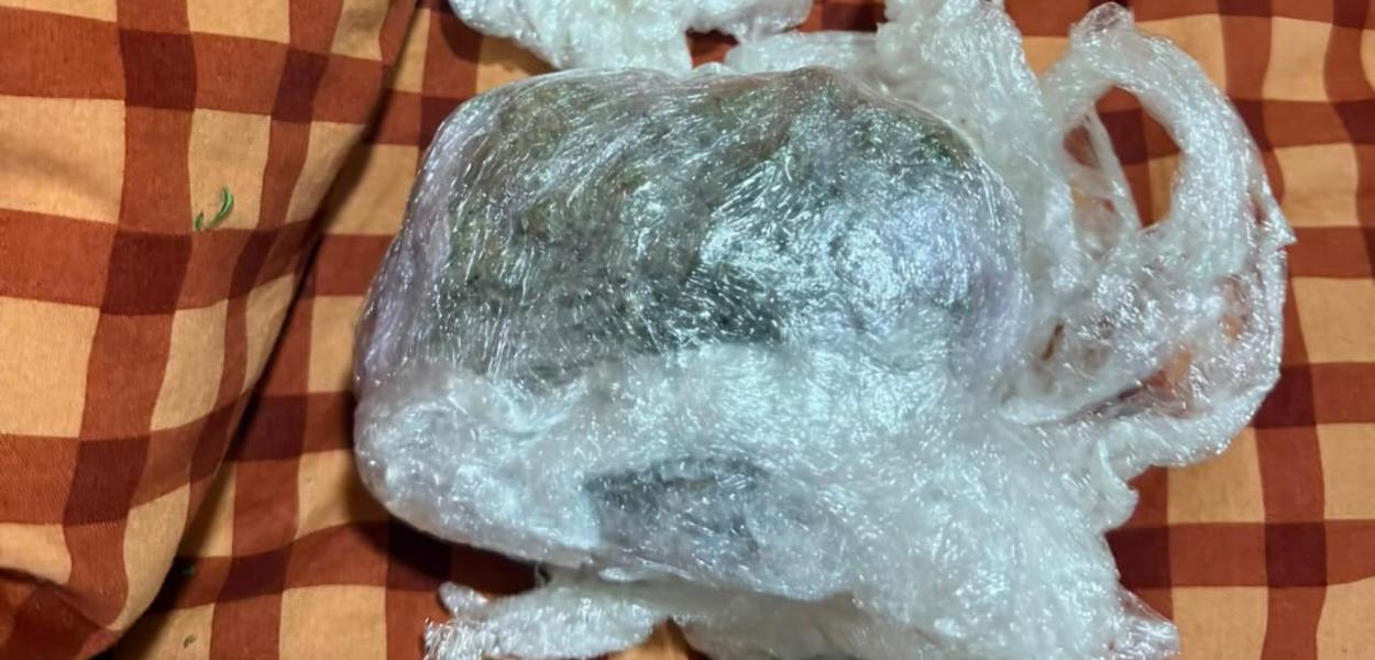 Pronađena marihuana (Foto: Uprava policije)