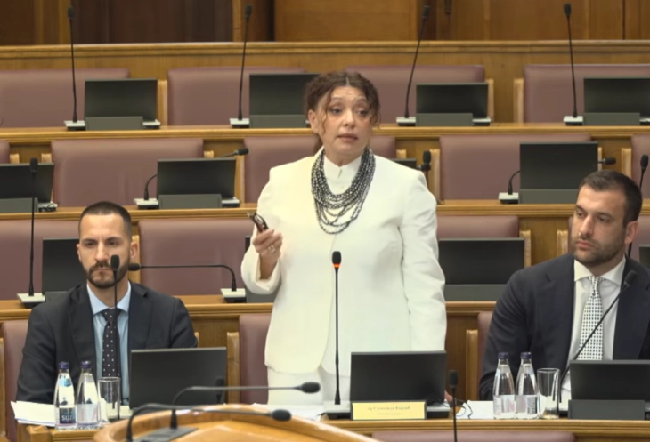 Simonida Kordić (Foto: Stop kadar/Yt)