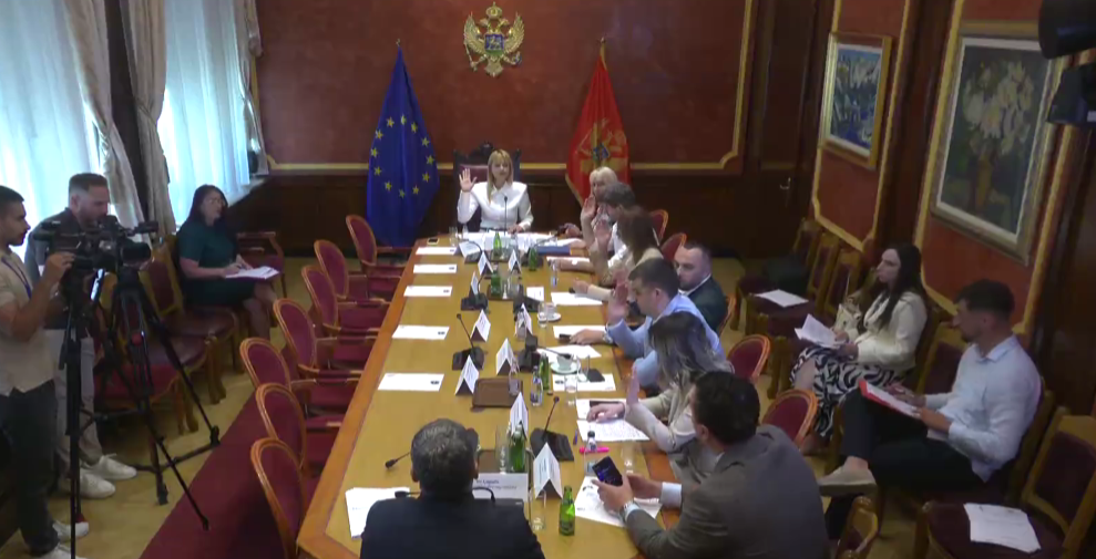 Foto: Printscreen/Skupština