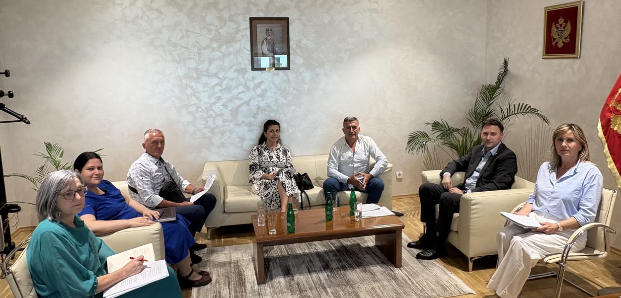 Sa sastanka (Foto: Ministarstvo zdravlja)
