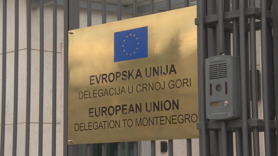 Delegacija EU u Podgorici (Foto: RTCG)