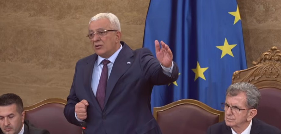 Andrija Mandić (Foto: Stop kadar)