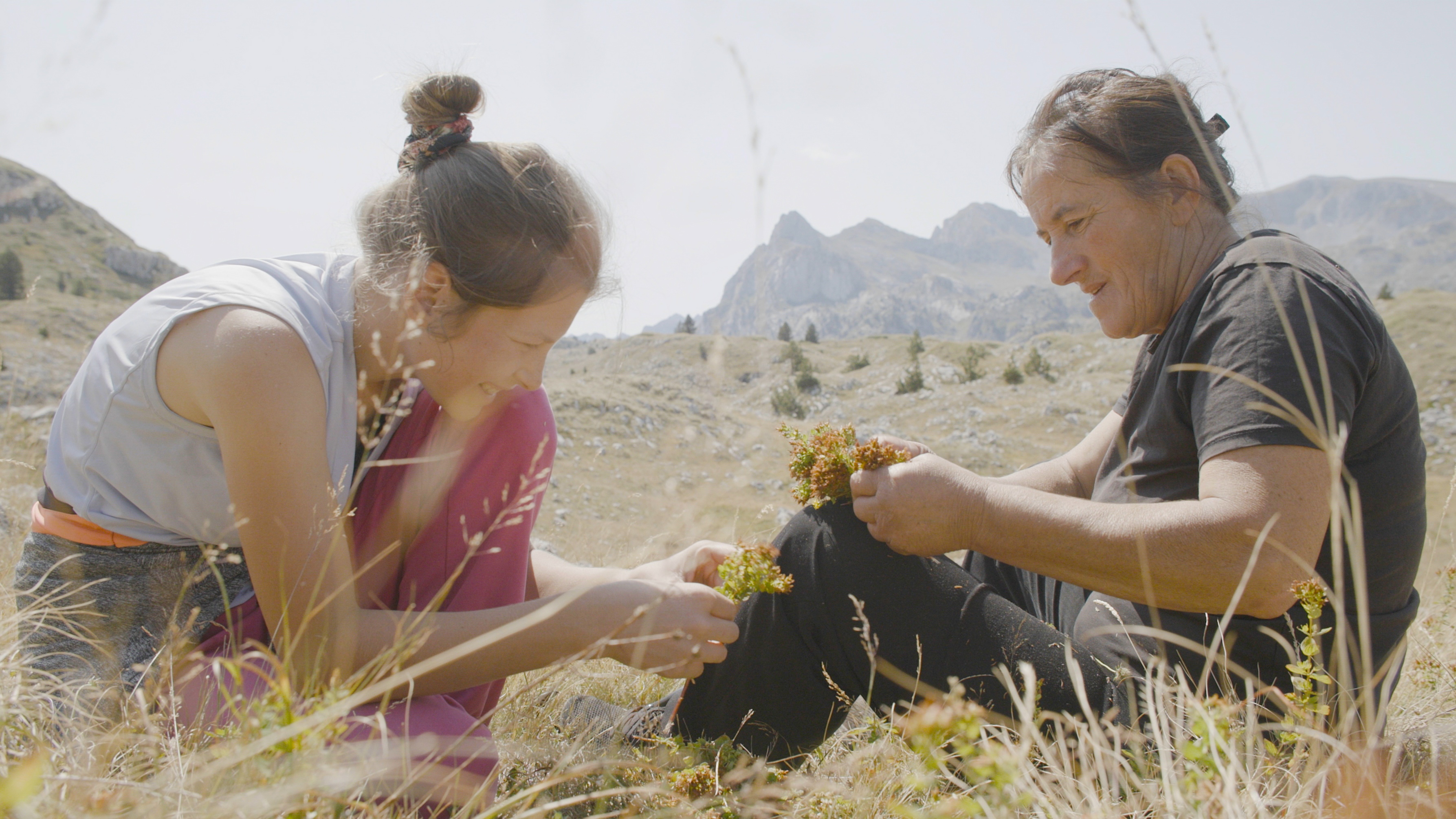 Film "Planina"