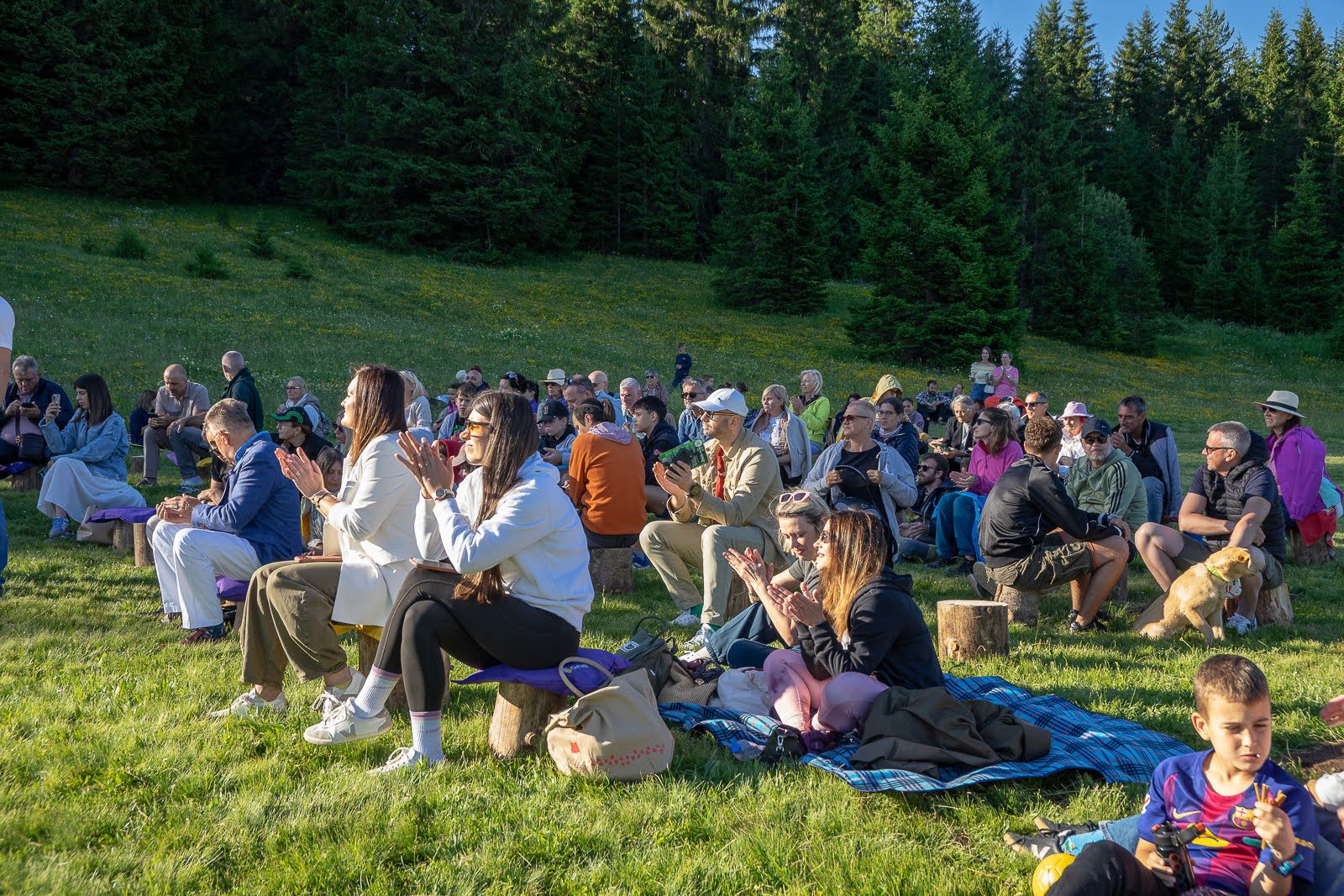 Wild Beauty Art festival