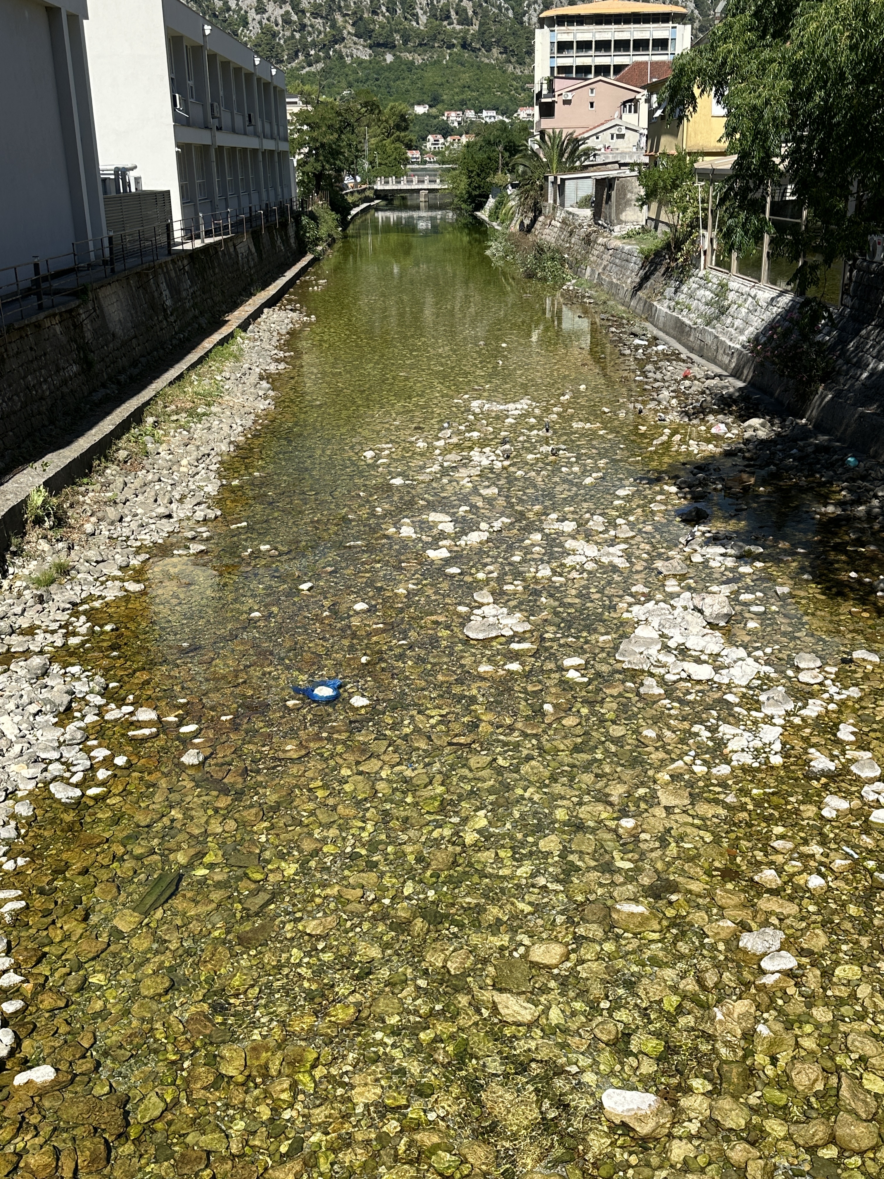 Akcija čišćenja