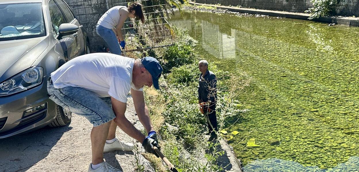 Akcija čišćenja (Foto: Radio Kotor)