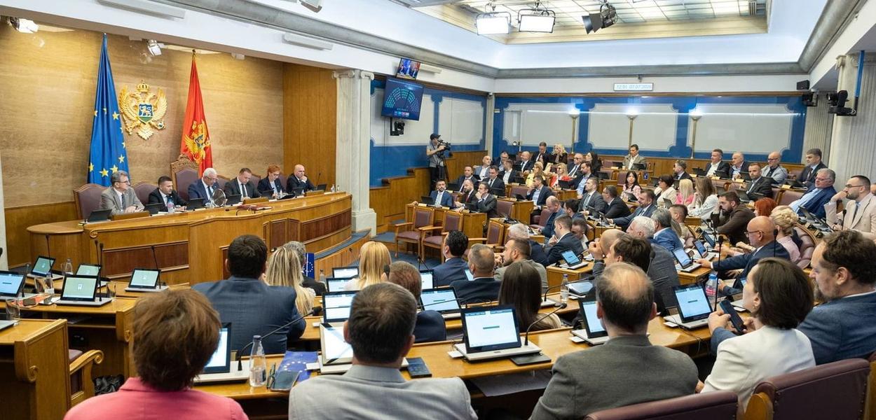 From the Parliamentary Assembly (Foto: Skupština Crne Gore)