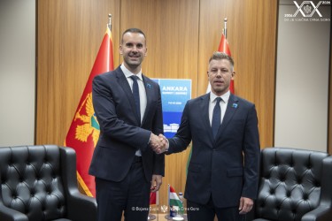  (Foto: Vlada CG)