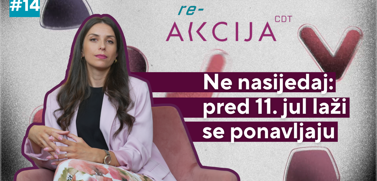 Jelena Jovanović (Foto: Centar za demokratsku tranziciju (CDT))