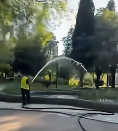 Pripadnik gradskog preduzeća "Zelenilo" u Njegoševom parku (Foto: Podgorički vremeplov/Instagram)
