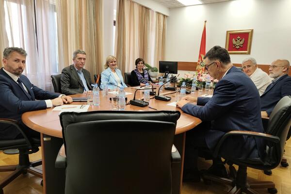  (Foto: Vijesti/Biljana Nikolić)