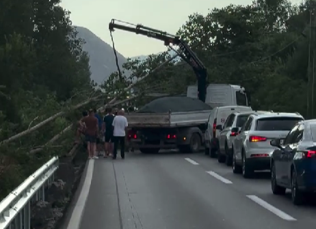 Foto: Printscreen/Podgorički vremeplov