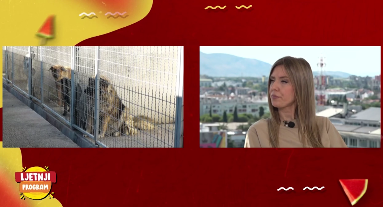  (Foto: TV E - stop kadar)