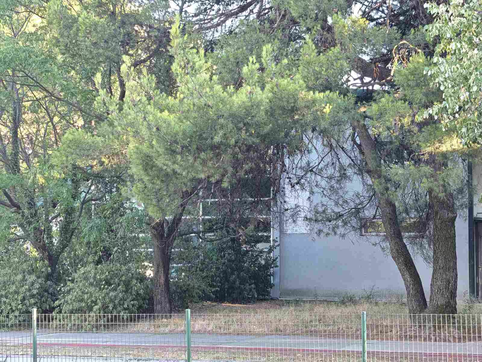 Nekadašnji And1