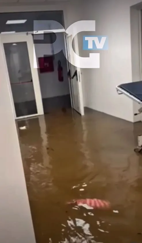  (Foto: RTV Podgorica )