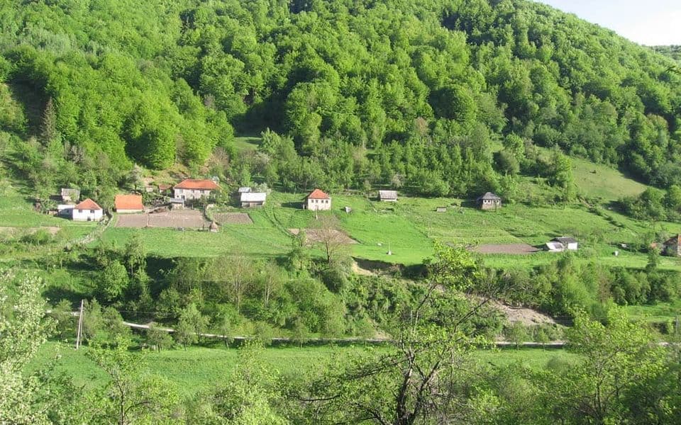 Velika (Foto: Gojko Knežević)