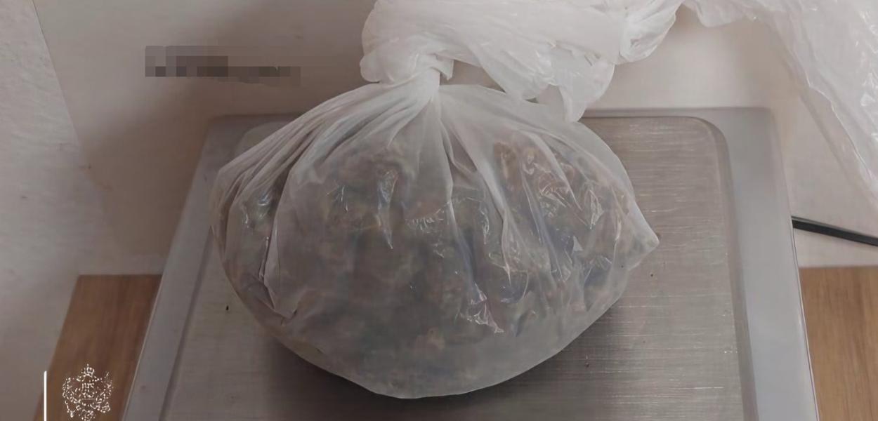Pronađena marihuana (Foto: Uprava policije)