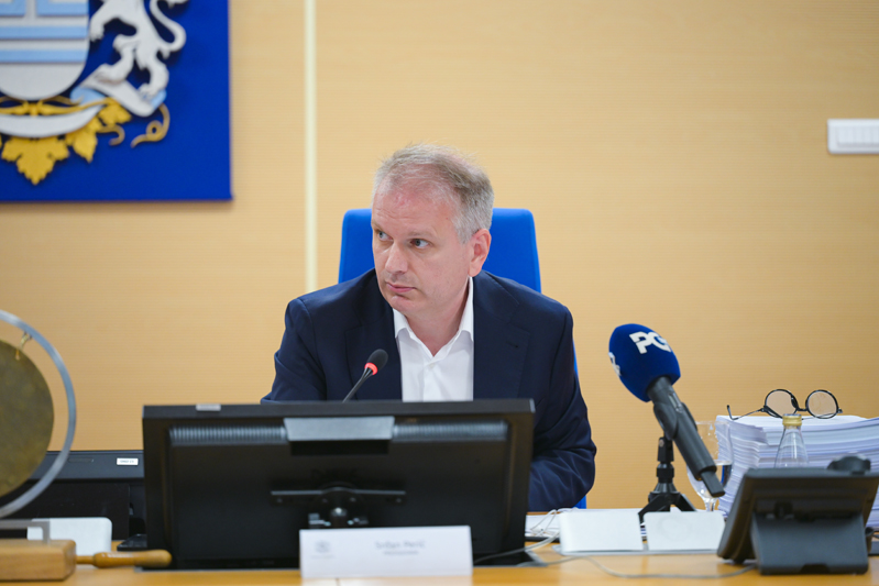 Srđan Perić (Foto: Dušan Milić )