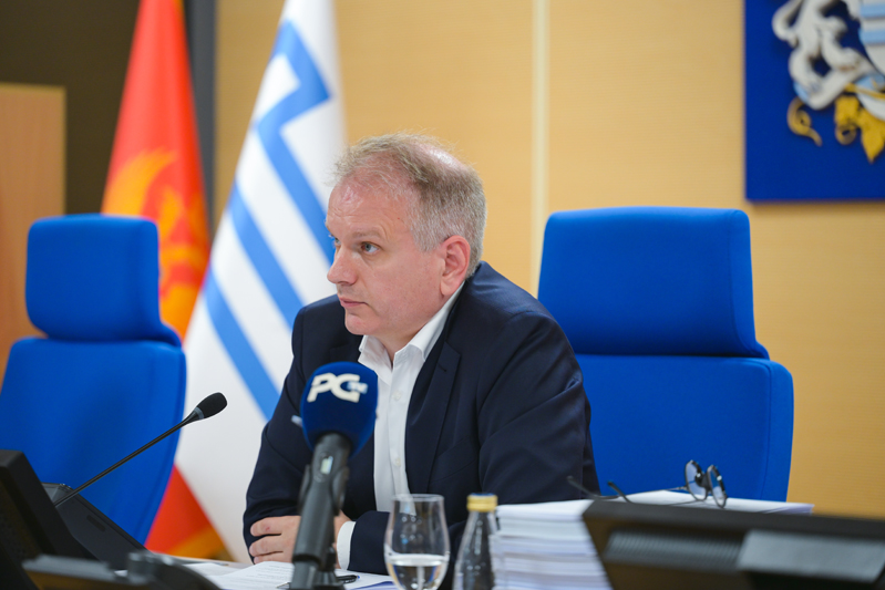 Srđan Perić (Foto: Dušan Milić )