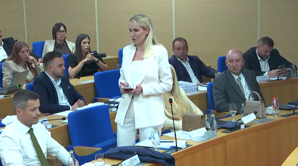 Vesna Brajović (Foto: Stop kadar )