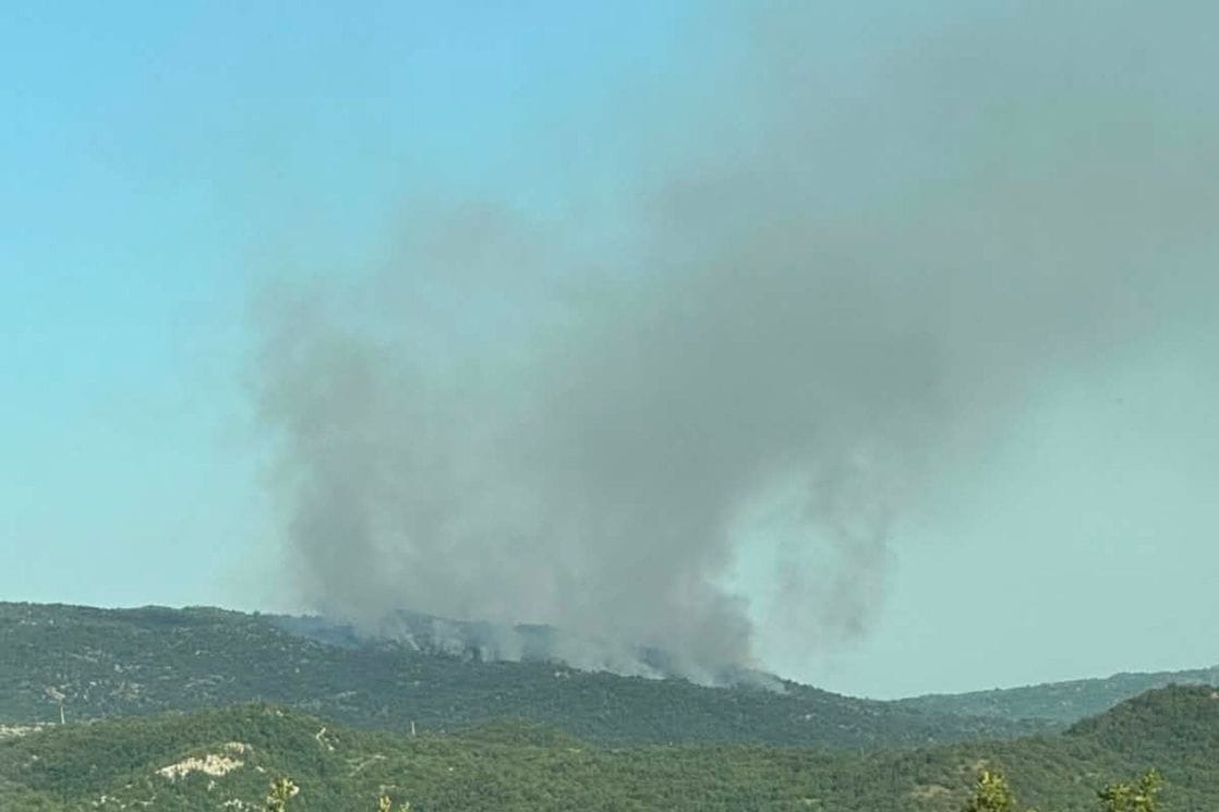 Požar na cetinjskoj teritoriji (Foto: Služba zaštite i spašavanja Cetinje)