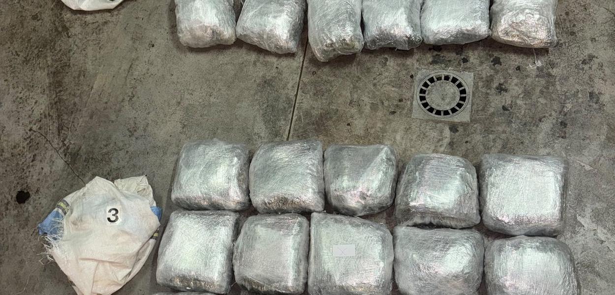 Pronađena marihuana (Foto: Uprava policije)