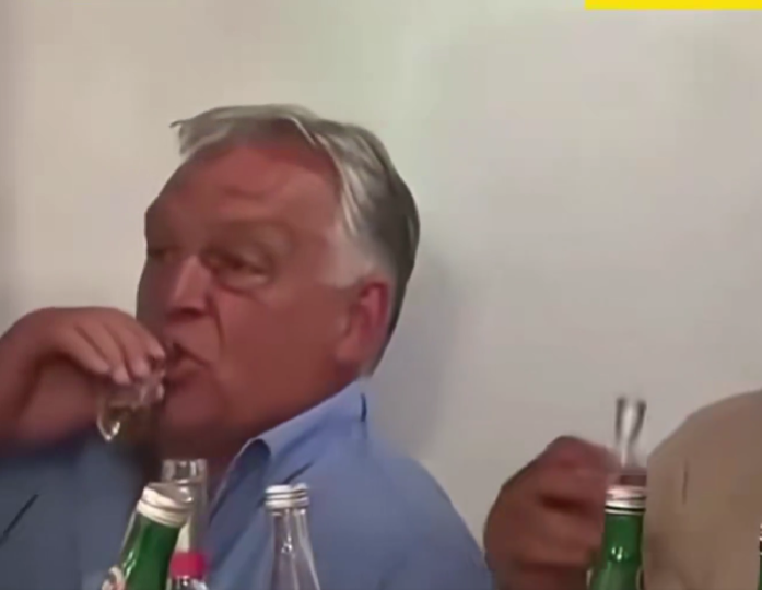  (Foto: Stop kadar/Iks mreža )