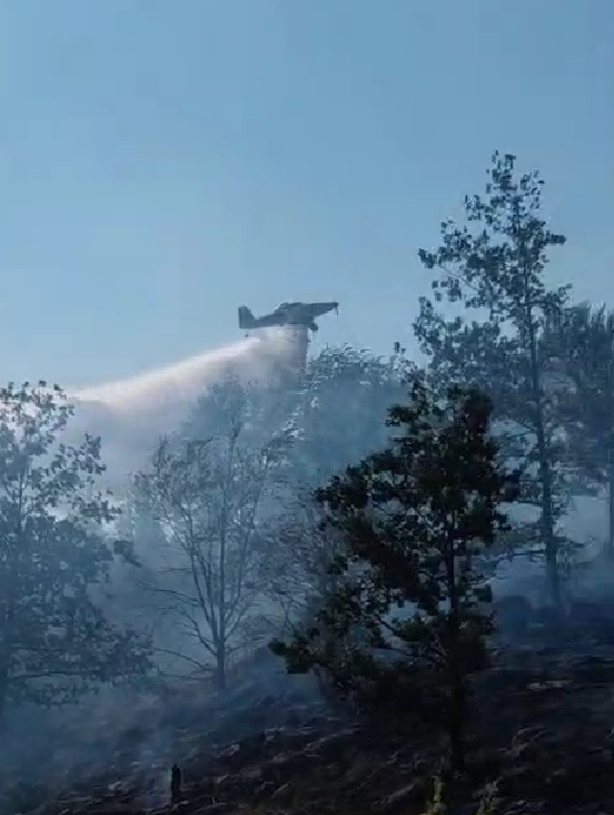 Gašenje požara (Foto: Stop kadar)