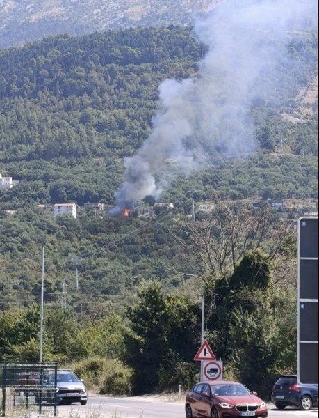 Požar u Pržicama (Foto: Radio Kotor)