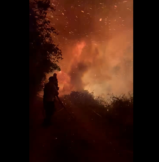 Požari  (Foto: screenshot/Facebook/Dragićević)