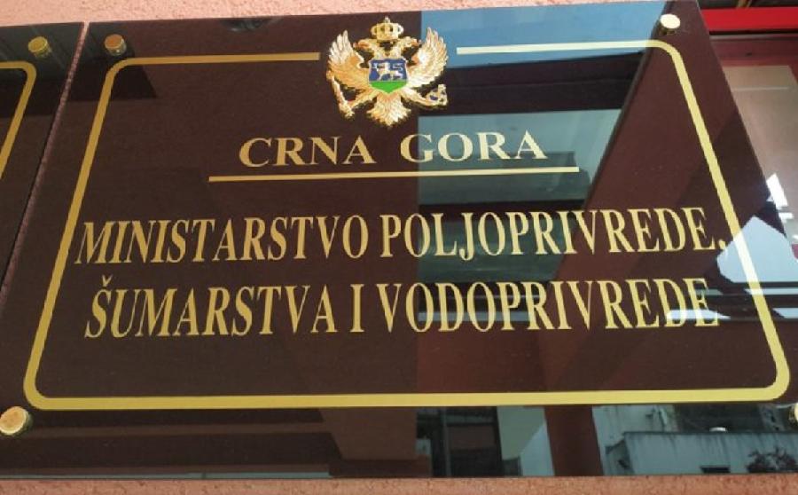 (Foto: MPŠV/screenshot)