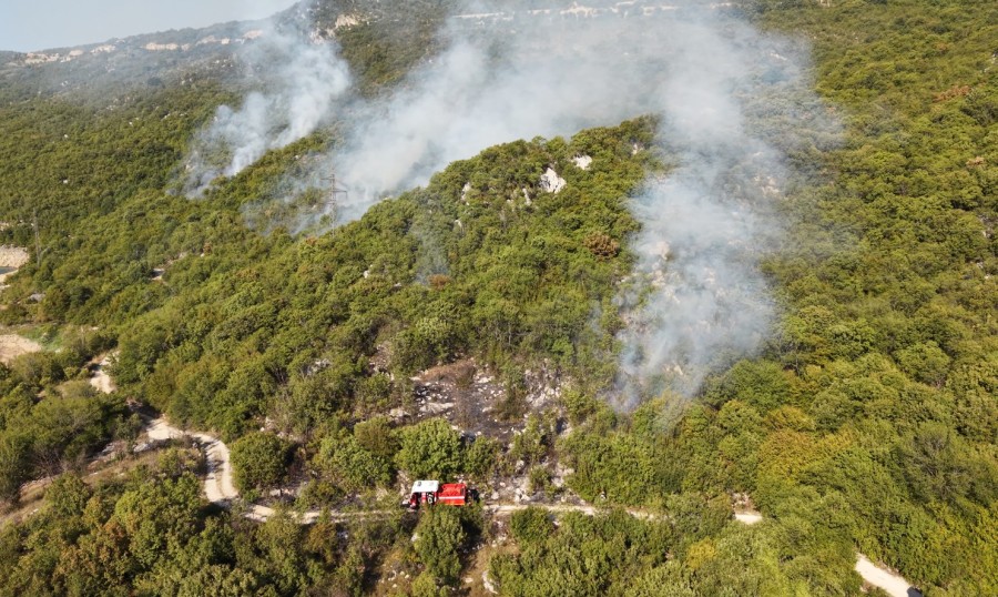 Požar u Nikšiću (Foto: RTCG)