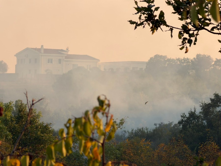 Požar u Ulcinju (Foto: Selver Vuković/RTCG)