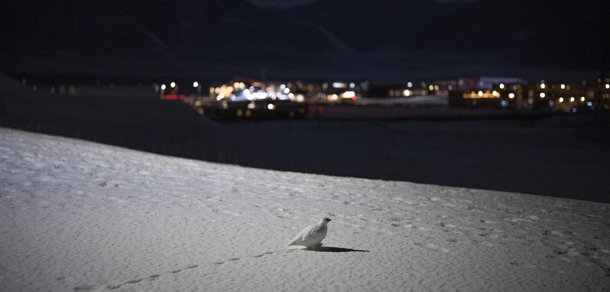  (Foto: AP/Daniel Cole)