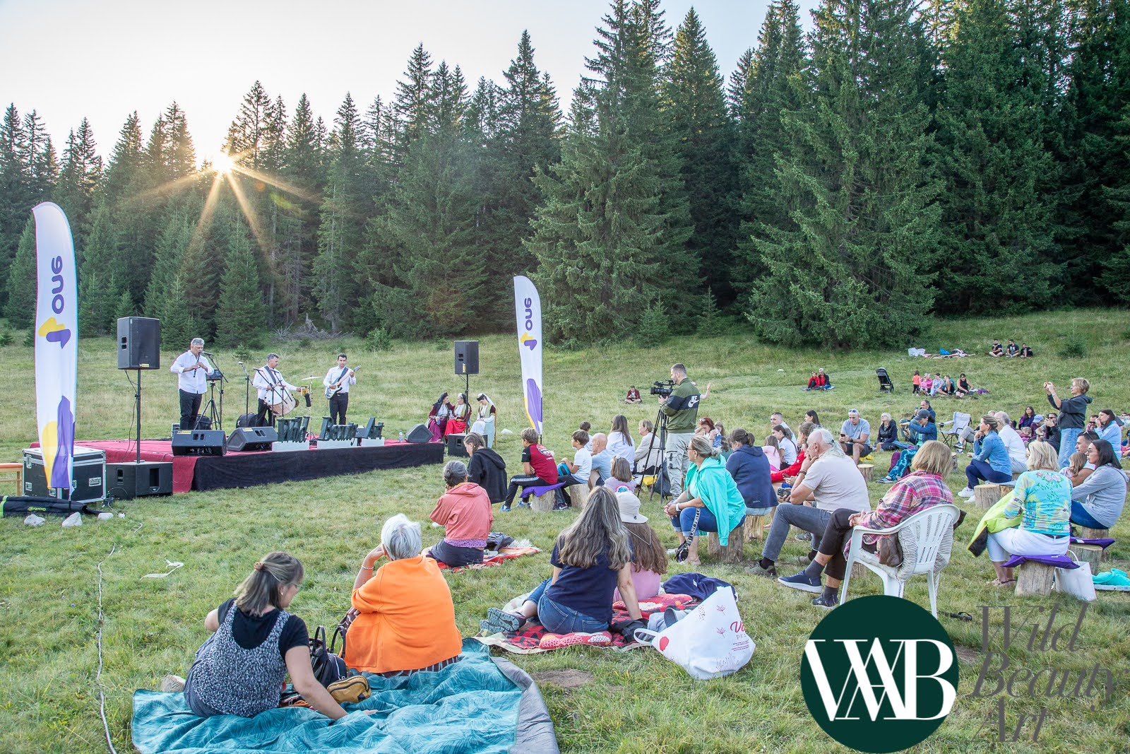 Wild Beauty Art festival