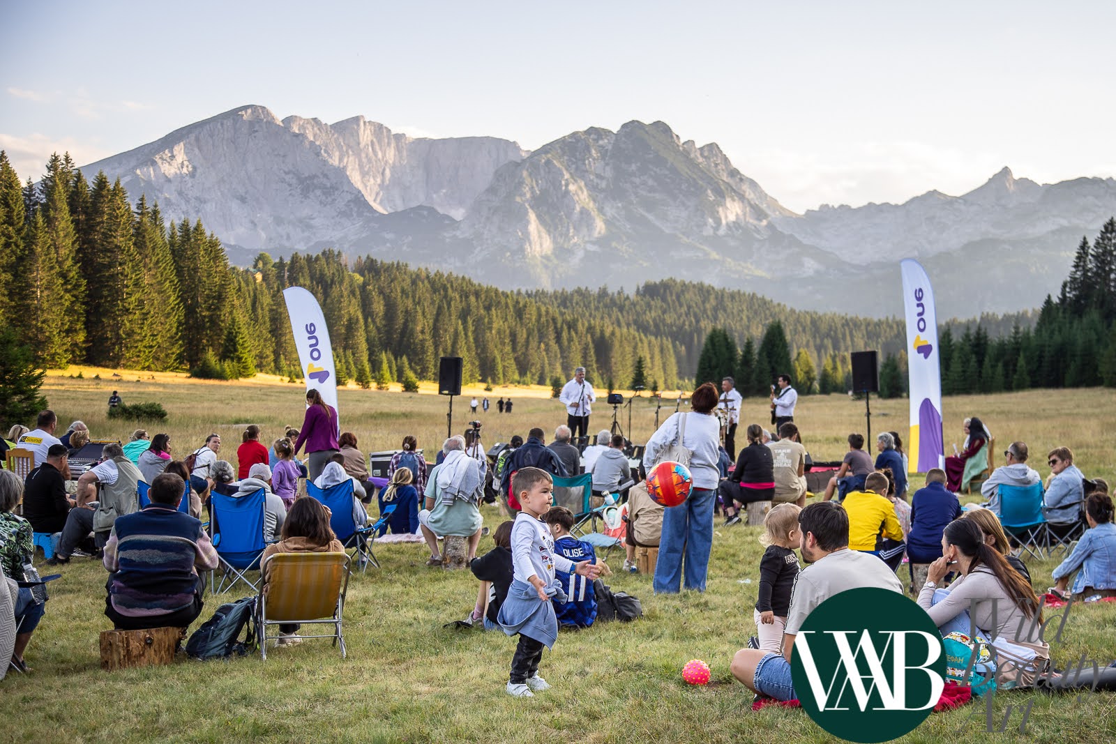 Wild Beauty Art festival