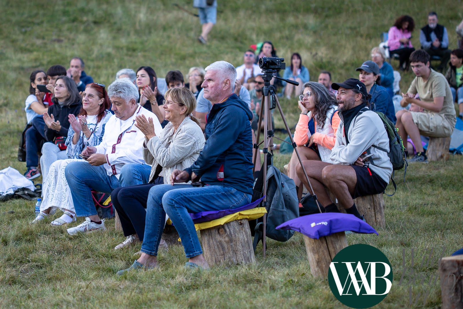 Wild Beauty Art festival