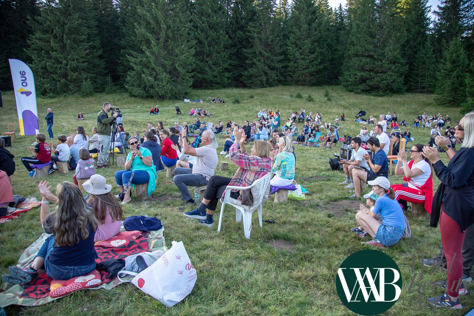 Wild Beauty Art festival