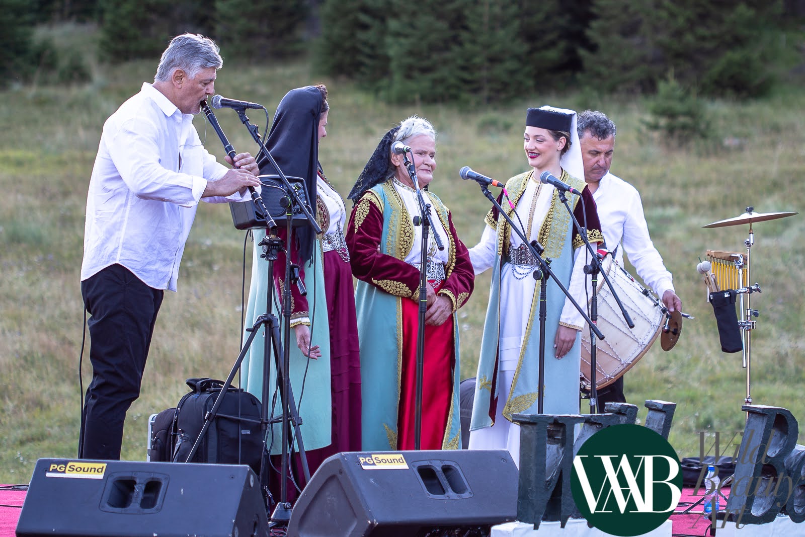 Wild Beauty Art festival