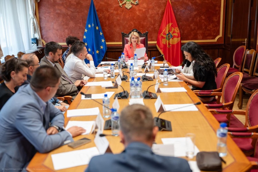Sa sjednice Odbora (Foto: Skupština Crne Gore)
