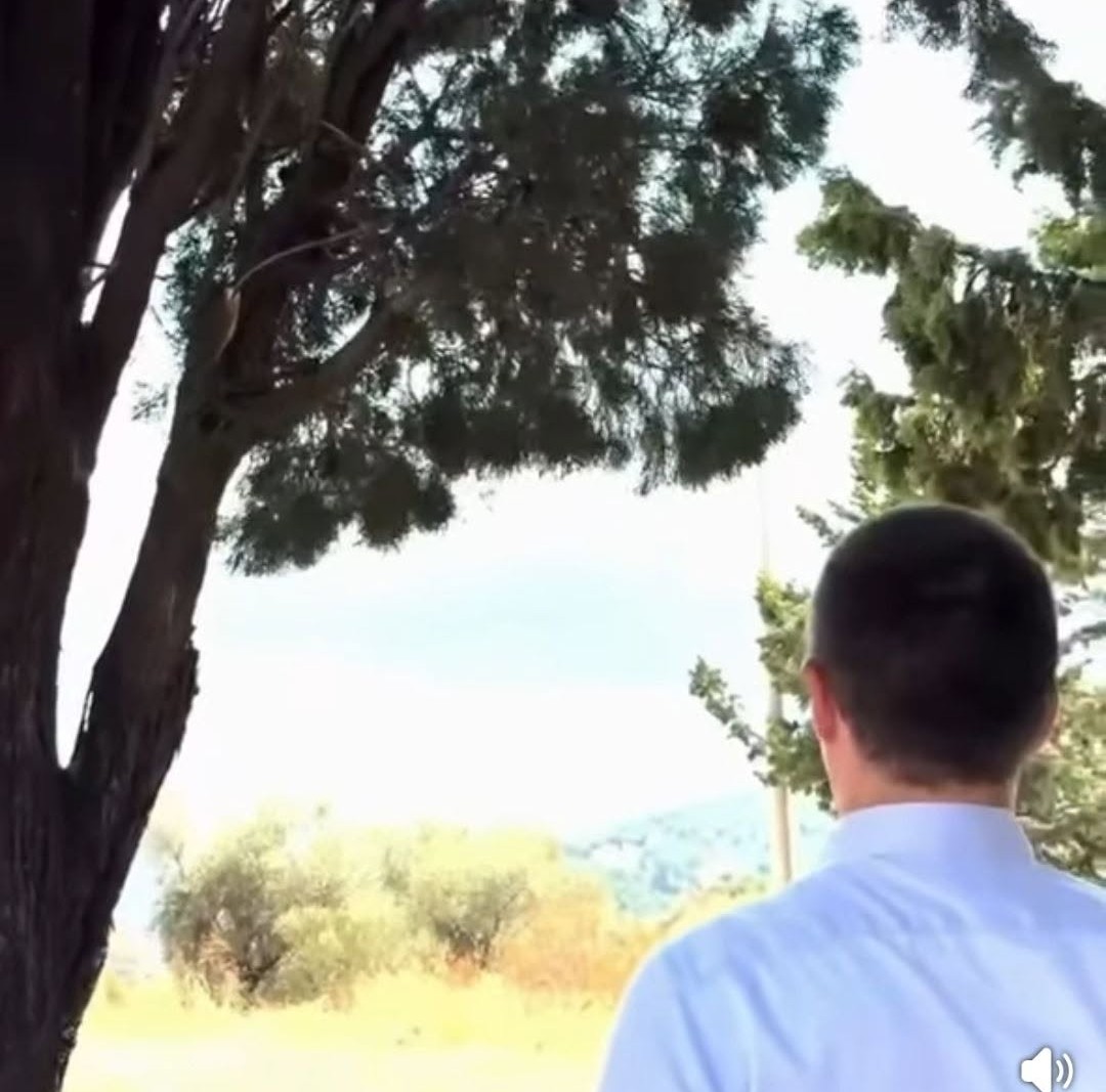 GLAVNA ULOGA U BOGDANOVIĆEVOM VIDEO URATKU: Bečić gleda u pravcu požara