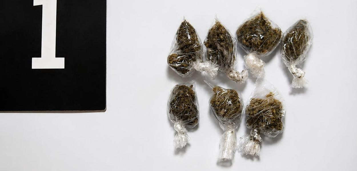 Pronađena marihuana (Foto: Uprava policije)