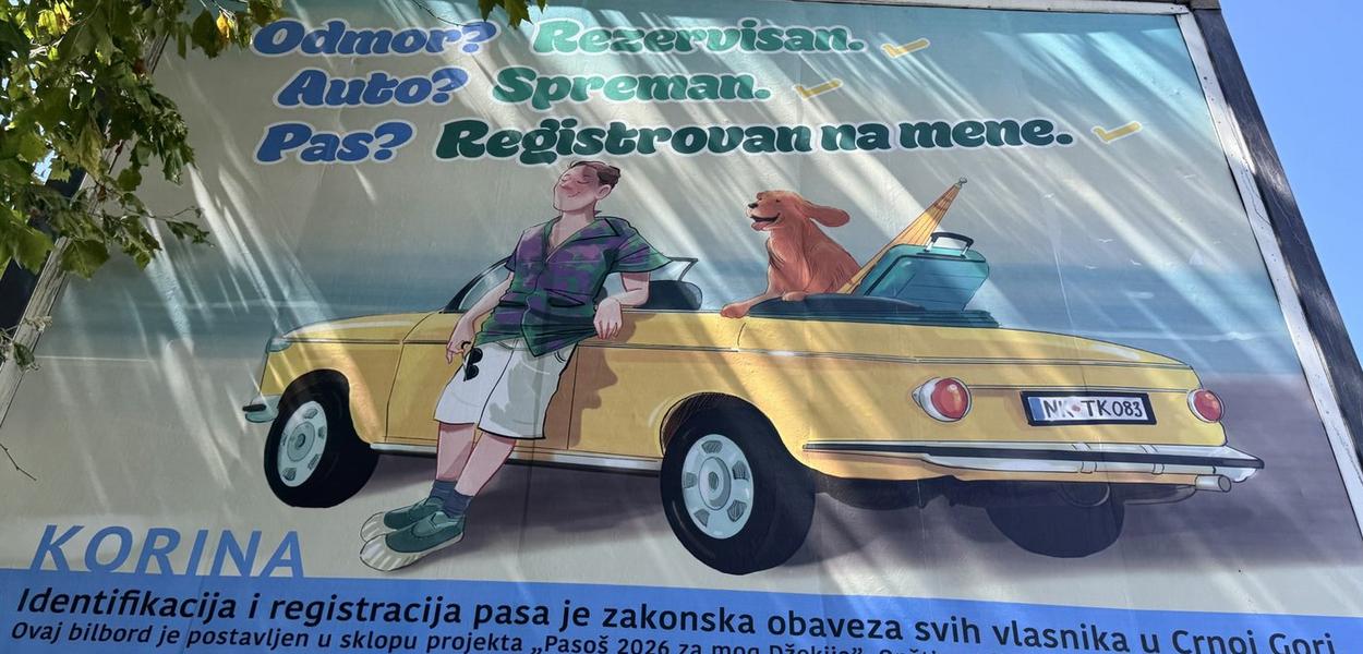 Bilbord u Nikšiću (Foto: Asocijacija Korina)