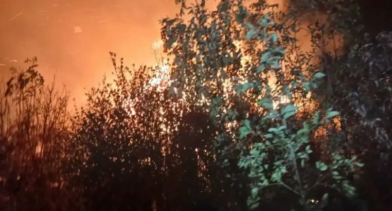  (Foto: SZS Cetinje)